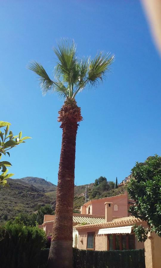 Cedra 5, Holiday Home, Cosy Apartment Turre Exteriér fotografie